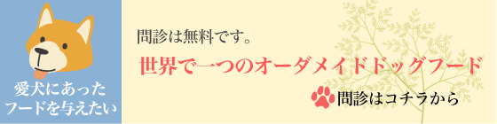 オーダーメイドドッグフード