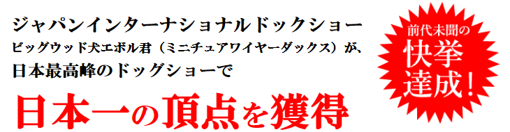 日本一の頂点を獲得