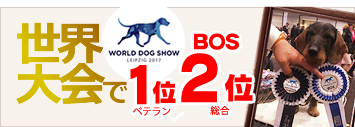 世界大会でベテラン1位、総合2位