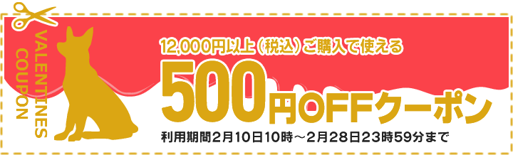 500円OFFクーポン