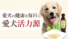 愛犬活力源