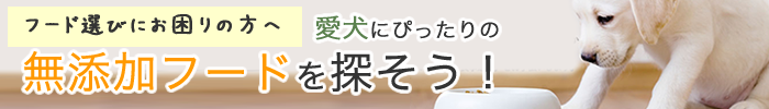 フード選びにお困りの方へ