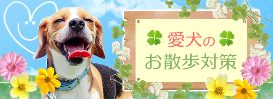 おさんぽ対策