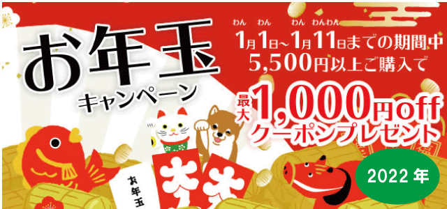 おとし玉クーポン最大1,000円OFF