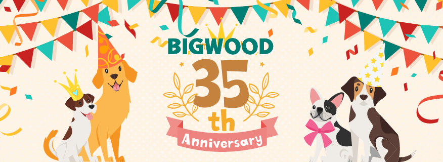 BIGWOOD 35th ANNIVERSARY