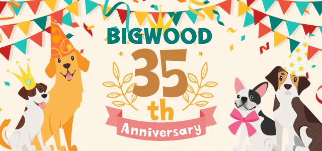 BIGWOOD 35th ANNIVERSARY
