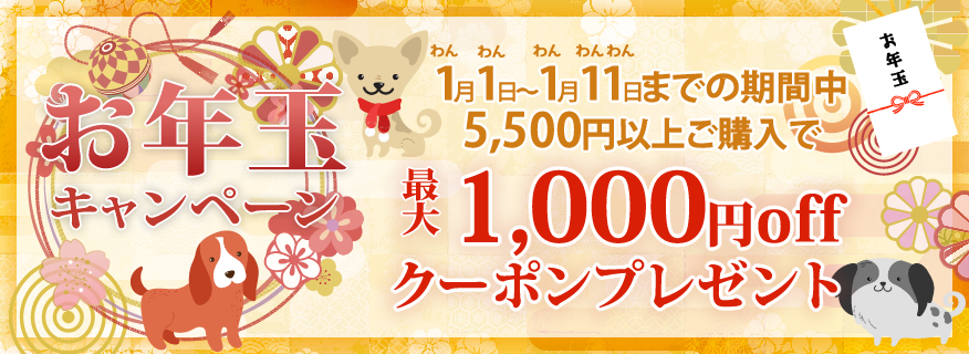 おとし玉クーポン最大1,000円OFF