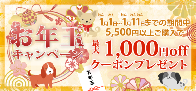 おとし玉クーポン最大1,000円OFF