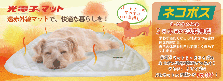 光電子マット