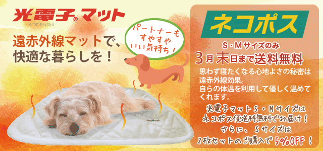光電子マット