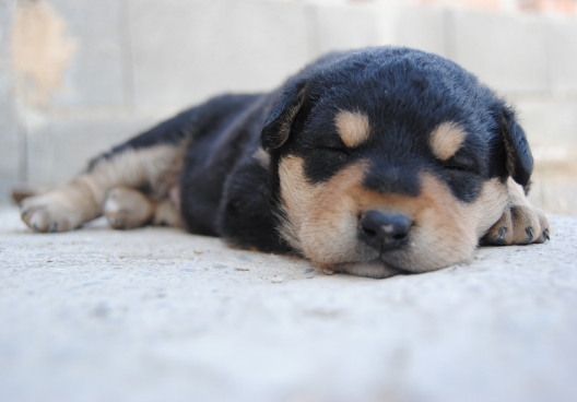 こんな様子はありませんか?