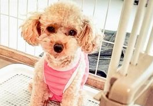 「また吐いちゃった…」その不安、つらいですよね。