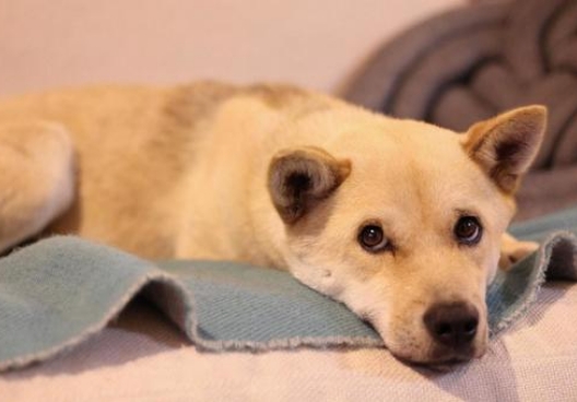 毎日拭いても、また赤くなる…