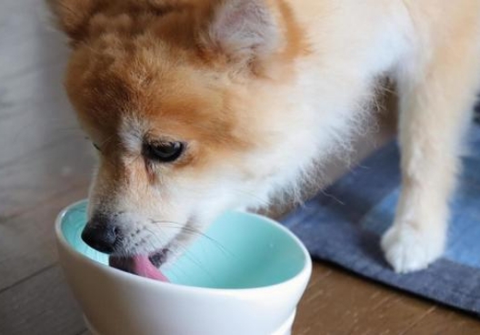 食事を見直すという考え方