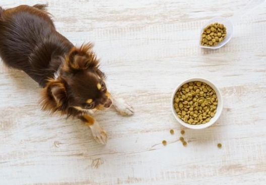 こんなお悩みありませんか？