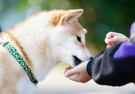 ただ食べるだけじゃなく「安心して続けられる毎日」を。