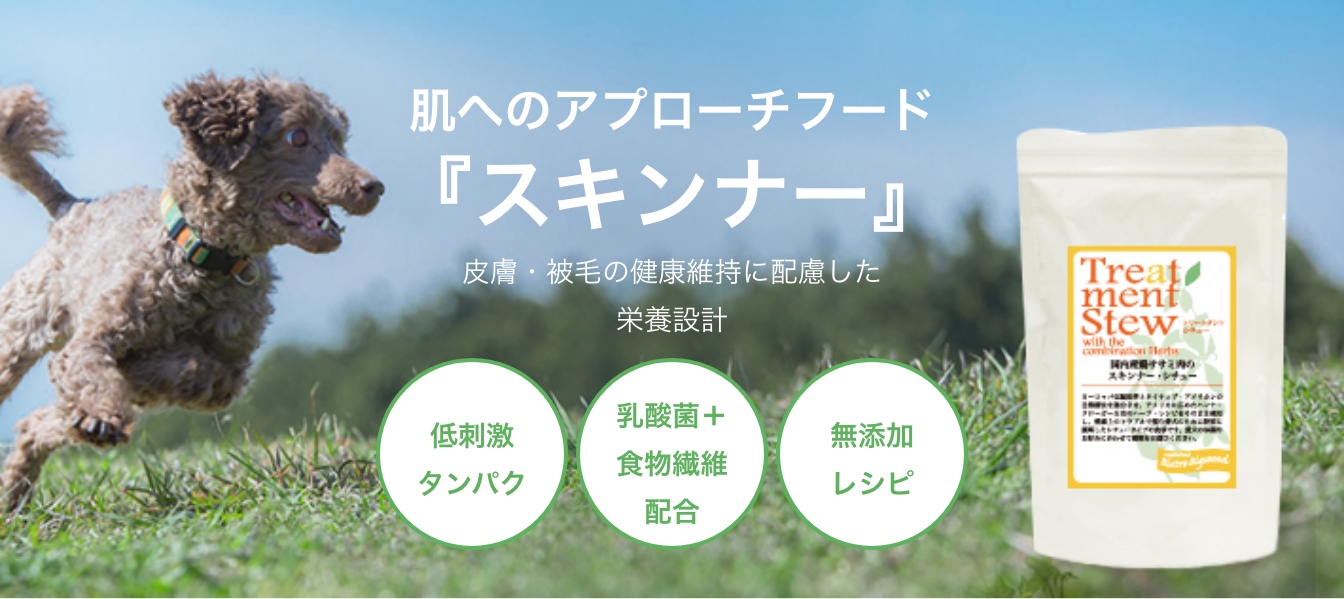 肌へのアプローチフード『スキンナー』
