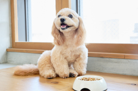 原因チェックの手順イメージ