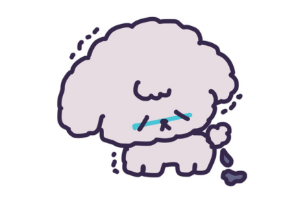 便の様子を観察するイメージ