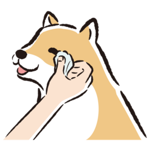 目元ケアのイメージ