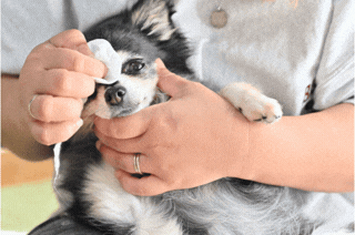 目元ケアのイメージ