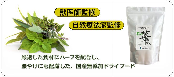 �t�@�C���؃V���[�Y