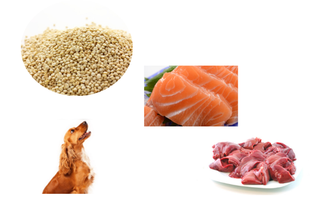 涙やけケアの考え方イメージ