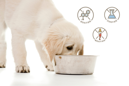 涙やけに配慮した食事のイメージ