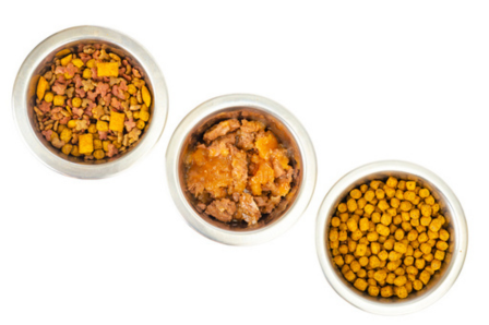 ドッグフード比較のイメージ