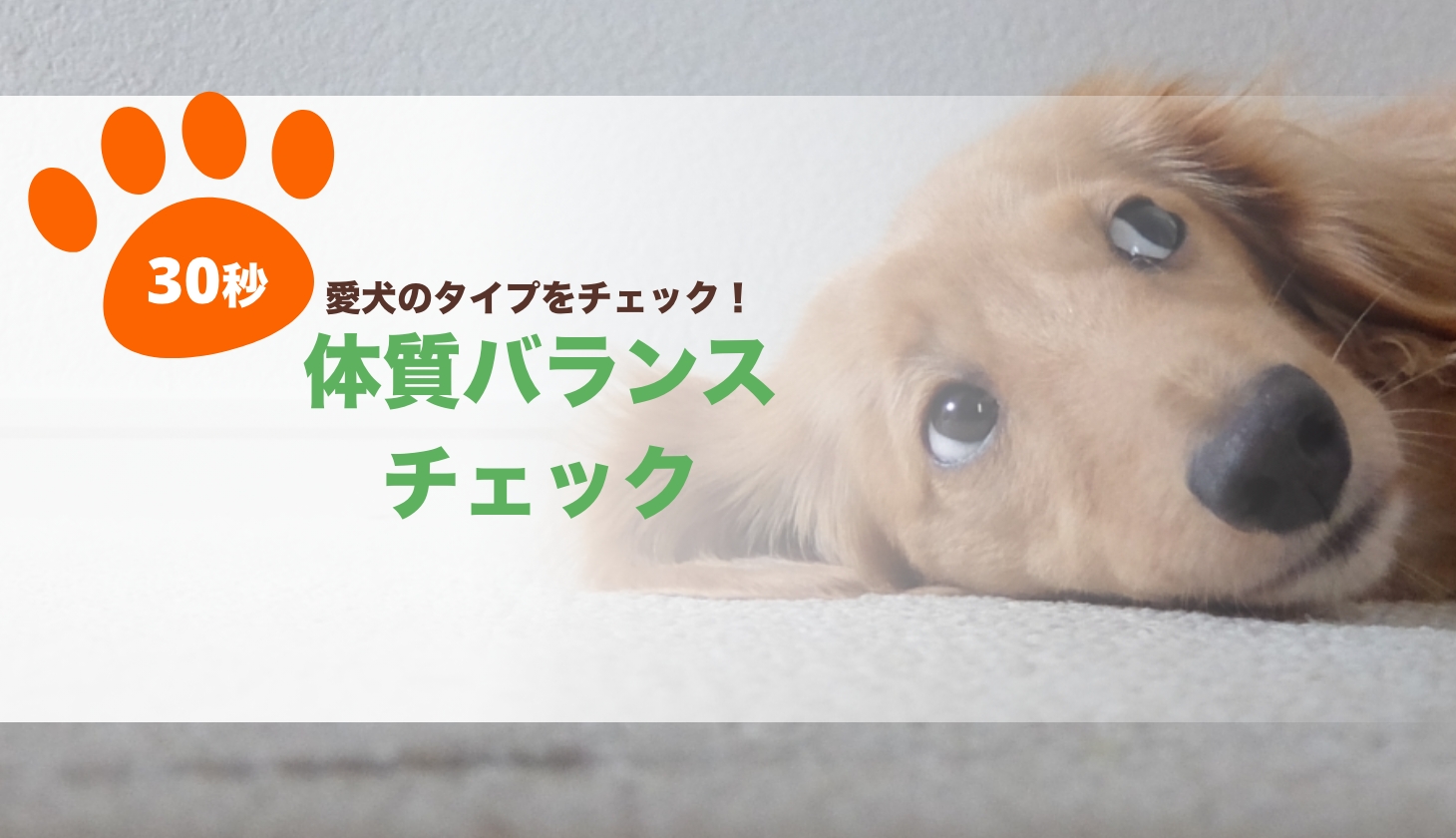 体調バランスチェック