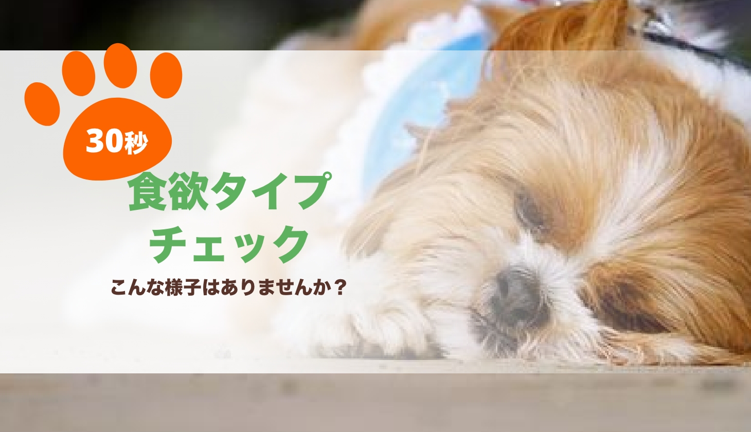 食欲タイプチェック