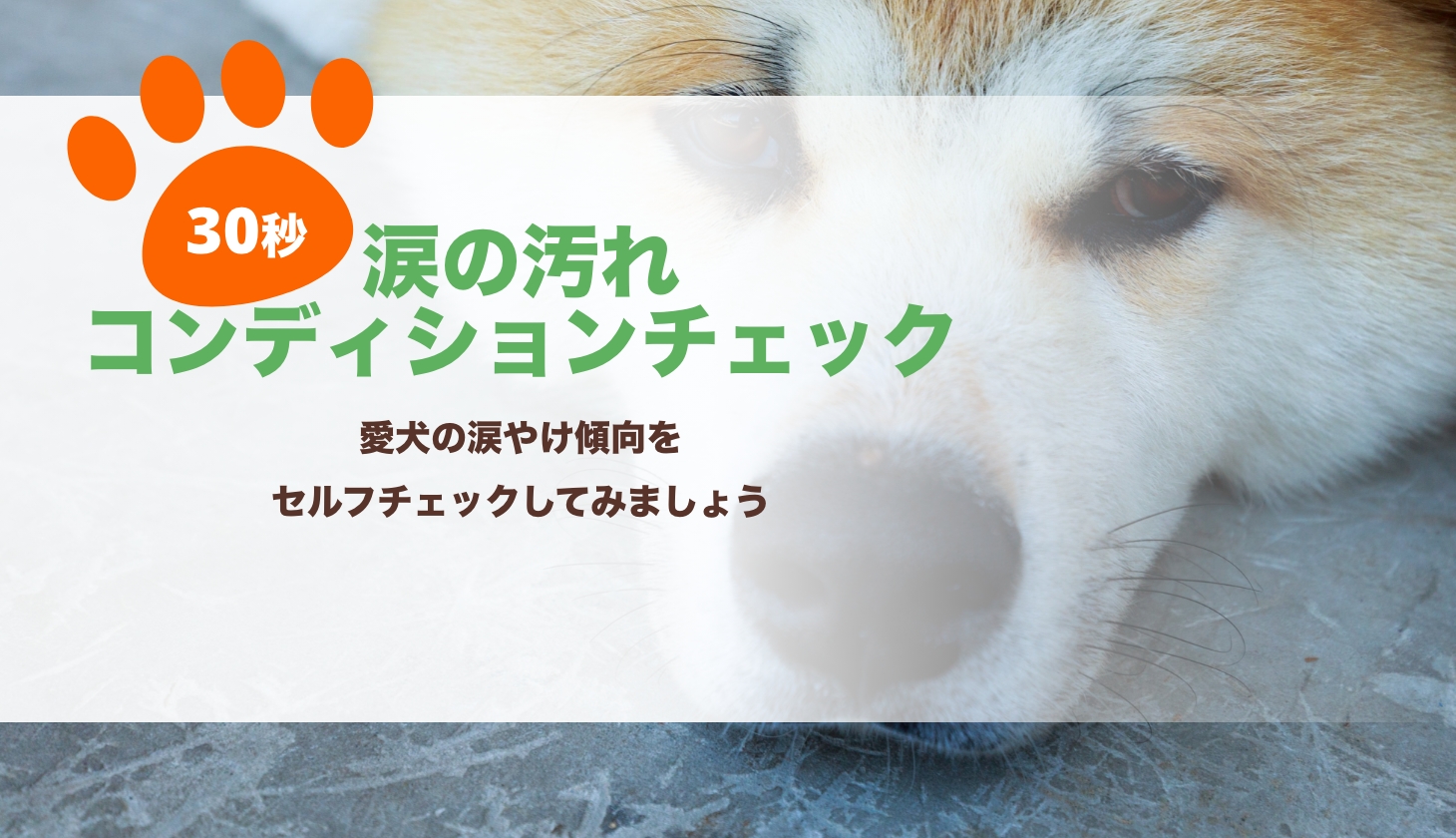 涙の汚れコンディションチェック