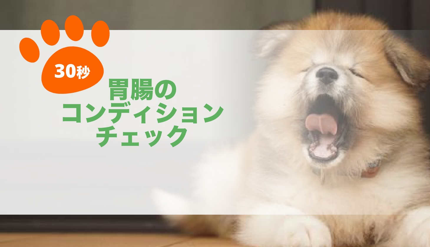 胃腸のコンディションチェック