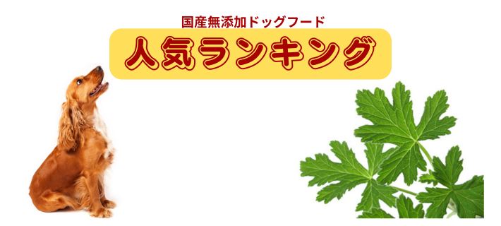 ���Y���h���C�t�[�h�l�C�����L���O�b���Y�E���ޗ��E��������I��