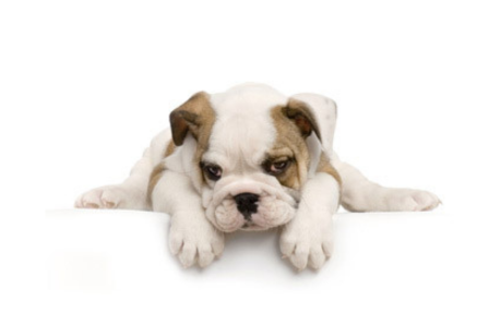 見直しポイントのイメージ