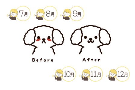 食事見直しの記録イメージ