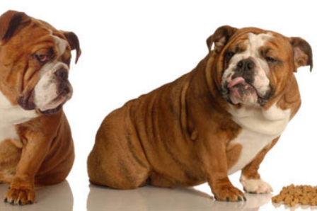 体質に合わせたケアのイメージ