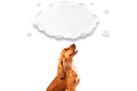 生活習慣で整えるイメージ