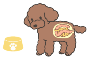 腸内環境と食事のイメージ