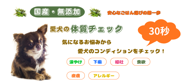 ������30�b�̎��`�F�b�N