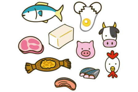 タンパク質と原材料のイメージ