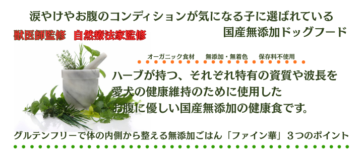 �t�@�C���؃V���[�Y��3�̃|�C���g