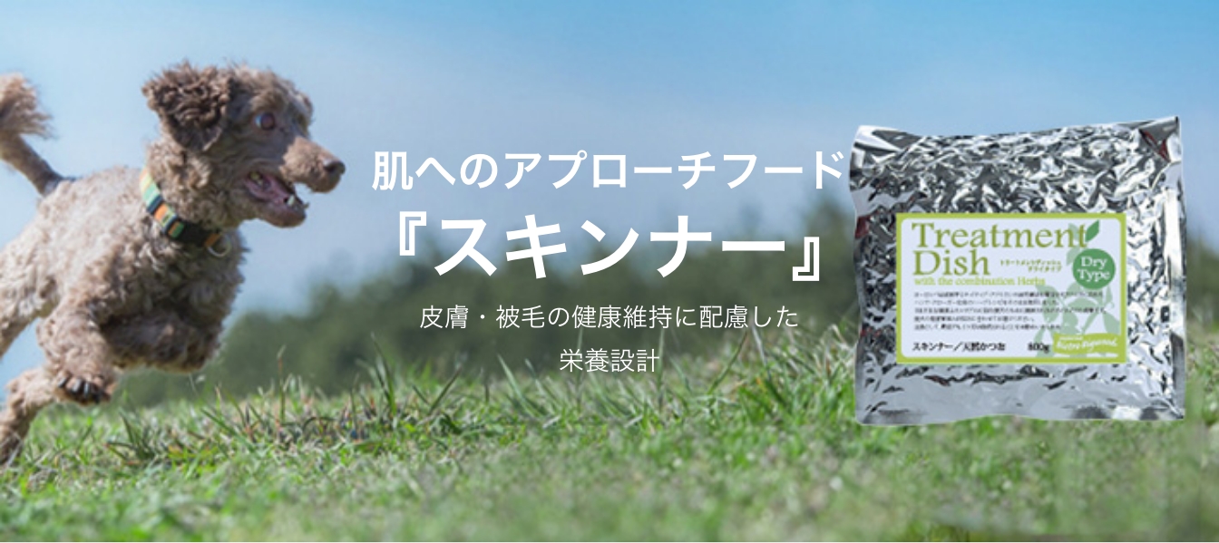 肌へのアプローチフード『スキンナー』