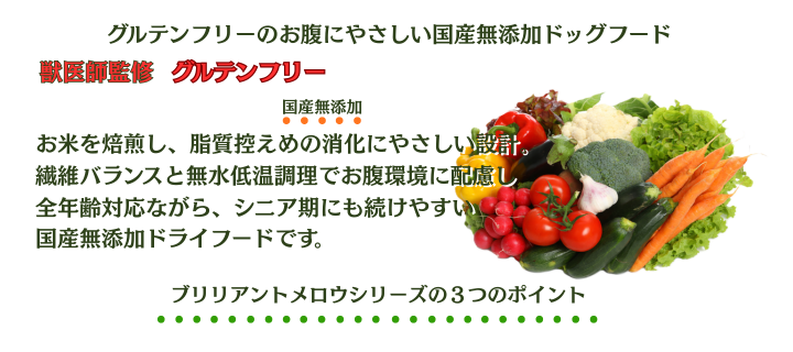 �u�����A���g�����E�V���[�Y�V���[�Y��3�̃|�C���g