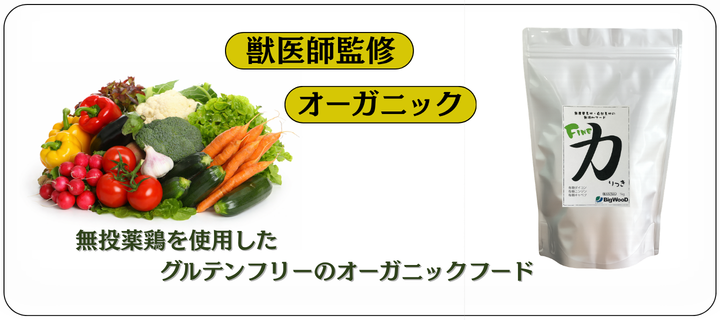 �t�@�C���؃V���[�Y