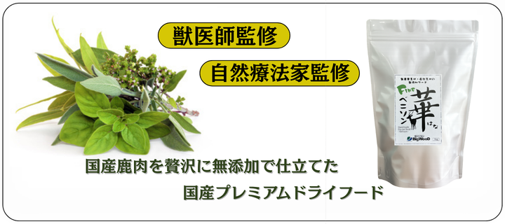 �t�@�C���؃V���[�Y