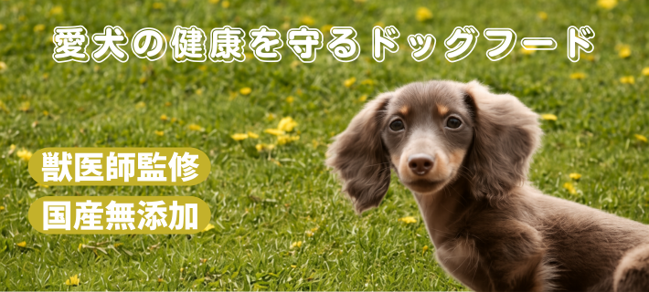 ���Y���E���Y�h���C�t�[�h�J�e�S���摜