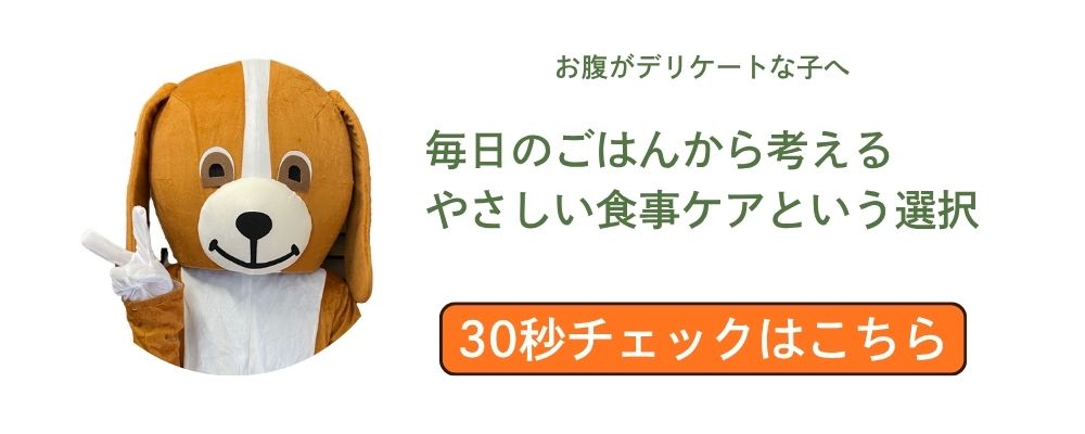 お腹にやさしい食事ケア方法