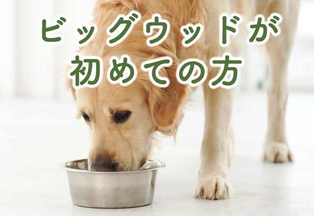 ビッグウッドが初めての方